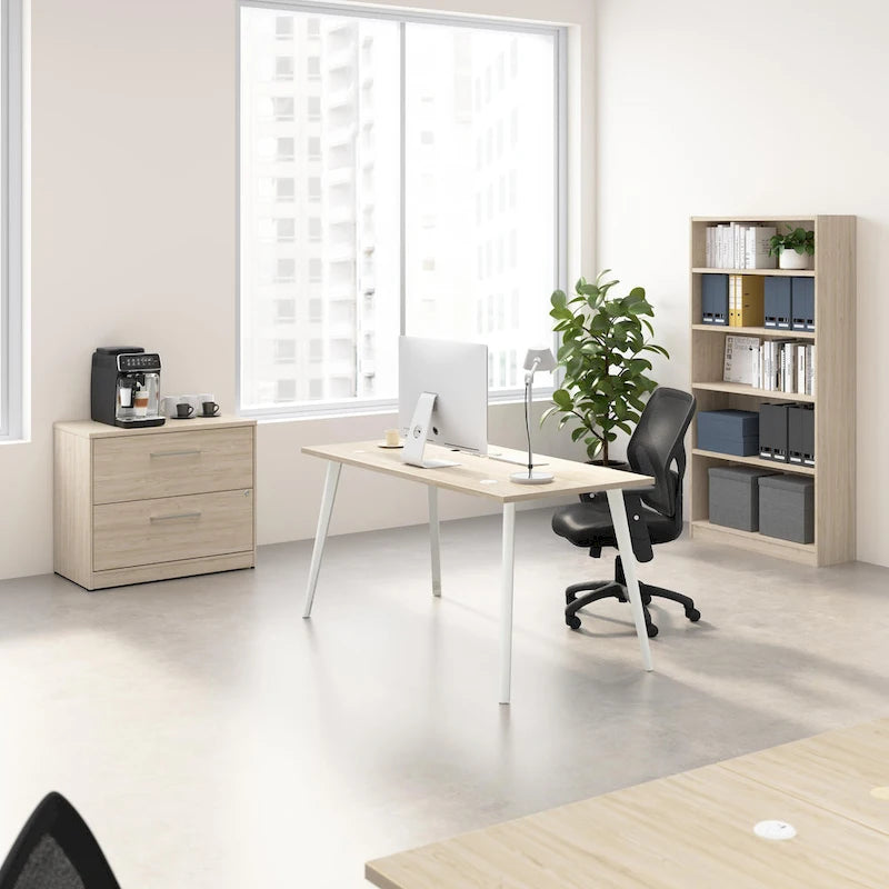 2-Drawer Lateral File Cabinet with Locking Drawers & Full-Extension Ball Bearing Slides